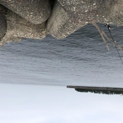 6/27　ちょい投げ釣り、ジギング